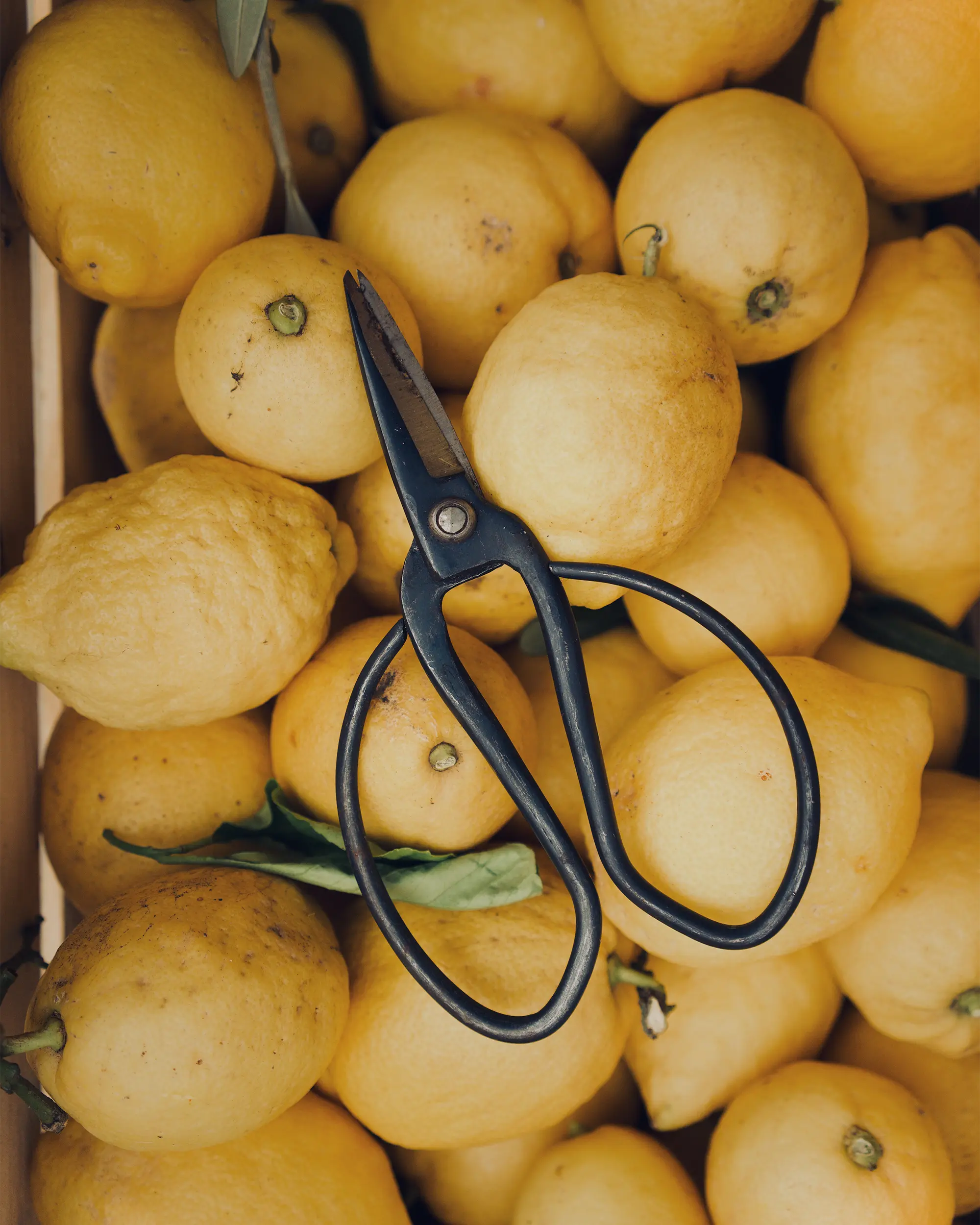 Riviera Porzioli brand Made in Italy | Photo by Silvia Pisani