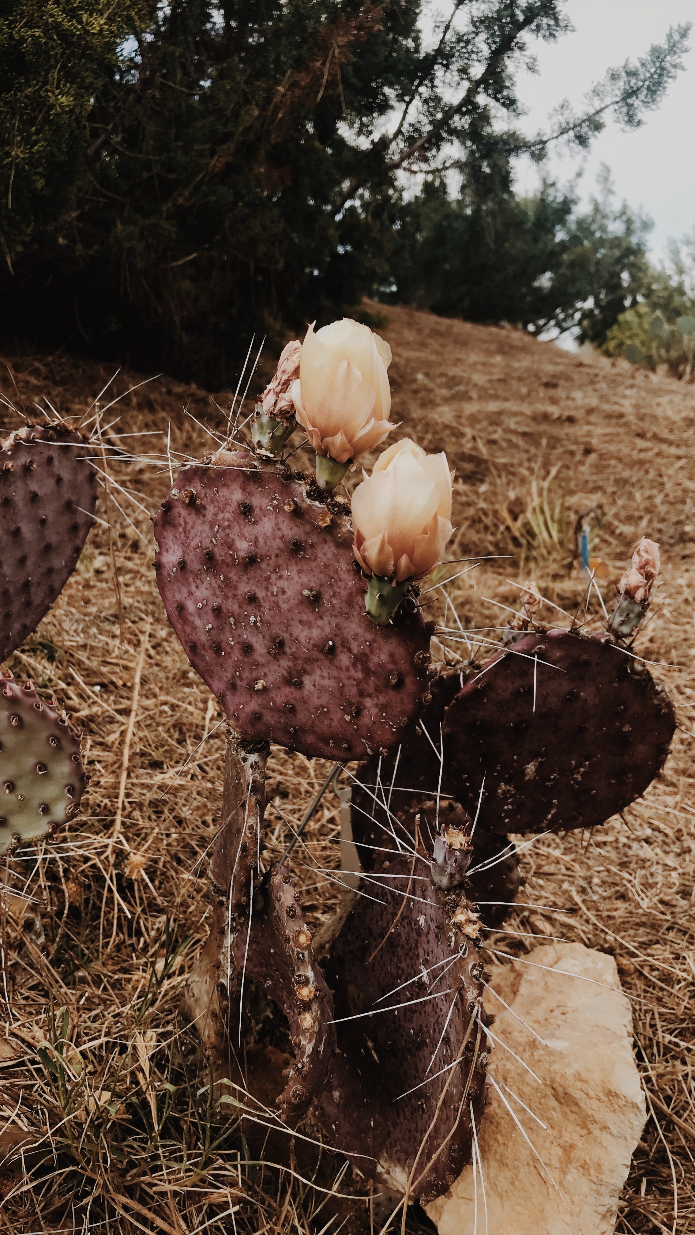 Galleria momenti e ispirazioni di Riviera Porzioli | Photo by Silvia Pisani