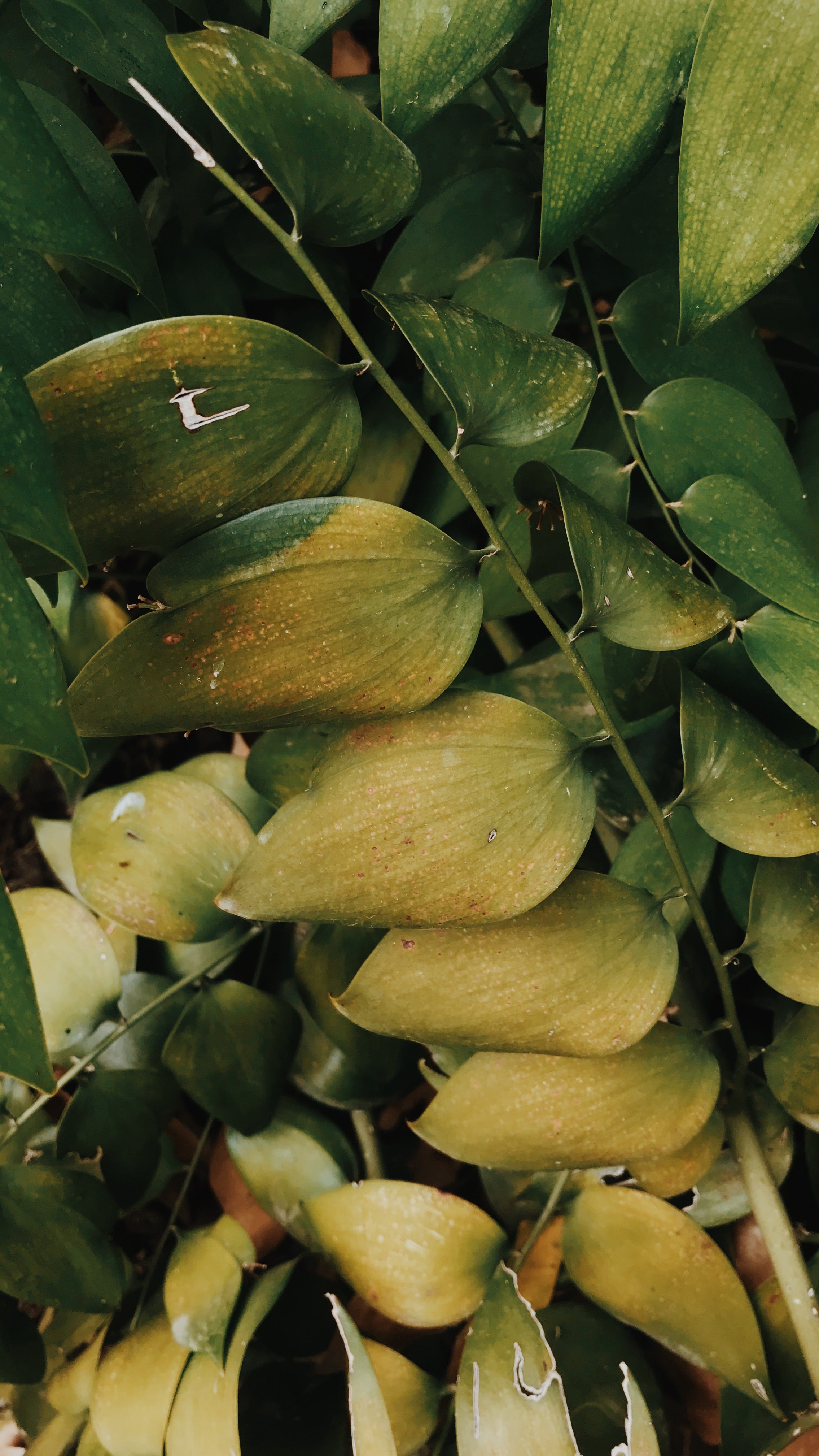 Galleria momenti e ispirazioni di Riviera Porzioli | Photo by Silvia Pisani